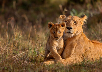 10-Day Tanzania Ultimate Safari with Hadzabe Lake Eyasi Tour