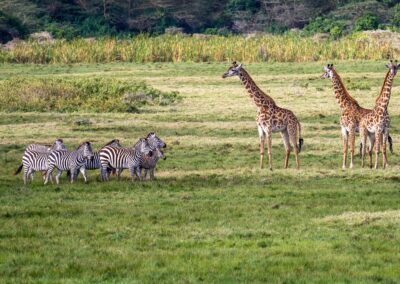 3-Day Arusha and Tarangire National Parks Walking Safari