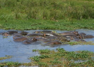 2-Day Ngorongoro Tour