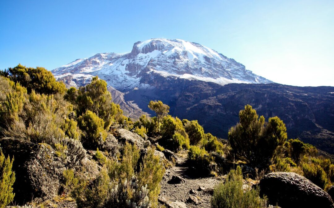 6-Day Umbwe Route Climbing