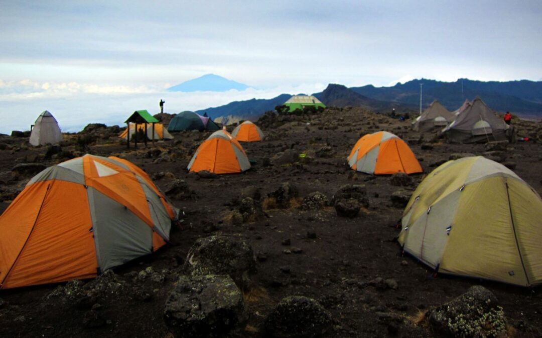 8-Day Lemosho Route Climbing