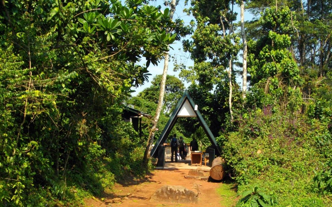 6-Day Marangu Route Climbing