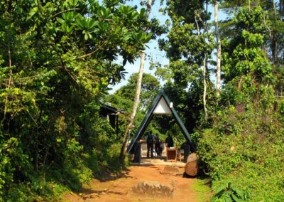 6-Day Marangu Route Climbing