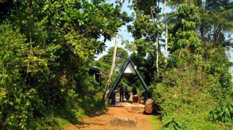 6-Day Marangu Route Climbing