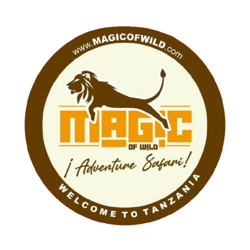 Magic of Wild Web Logo