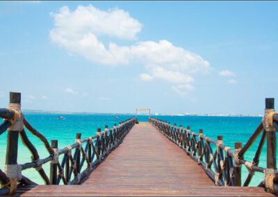 3-Day Zanzibar Culture and Wildlife Experience